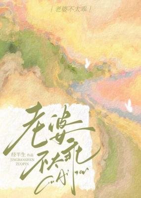 《老婆不太乖》