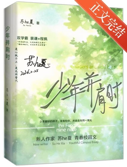 少年并肩时