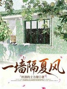 《一墙隔夏风》