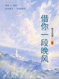 借你一段晚风