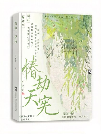 《情劫·天宪》