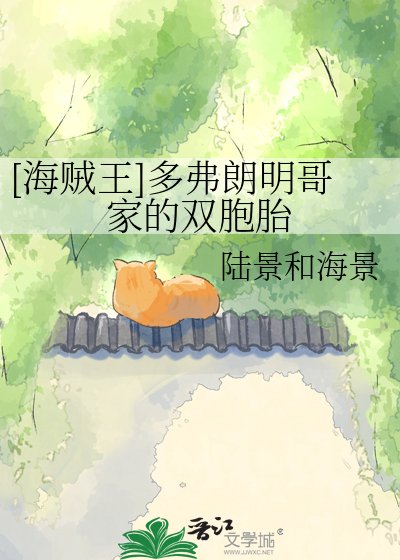 [海贼王]多弗朗明哥家的双胞胎