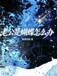 《老公是蝴蝶怎么办》