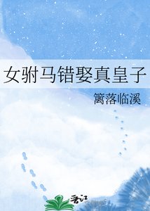 《女驸马错娶真皇子》