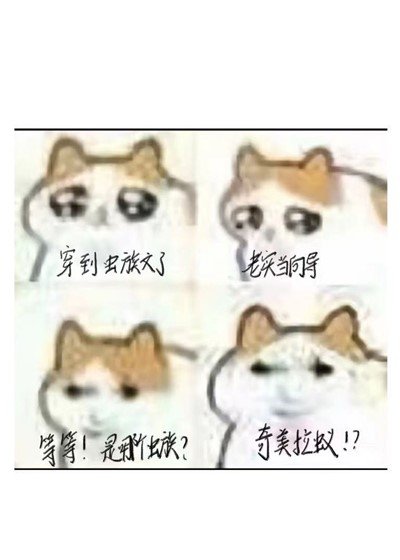 （猎人同人）穿成虫族文向导