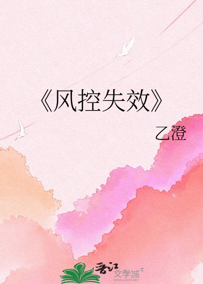 《风控失效》