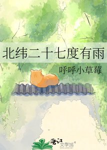 《北纬二十七度有雨》