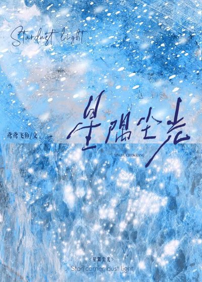 《星隅尘光》