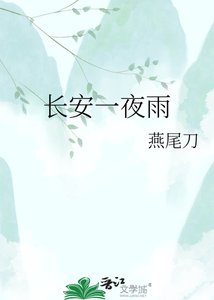 《长安一夜雨》