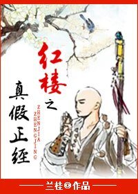 （BL/红楼同人）红楼之真假正经