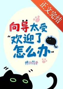 向导太受欢迎了怎么办