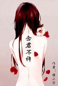 《念君不许》