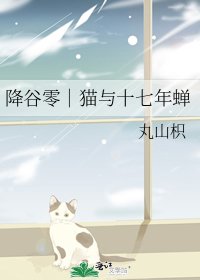 《降谷零|猫与十七年蝉》