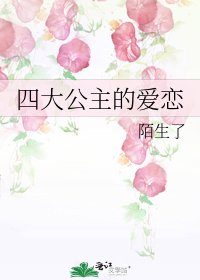 《四大公主的爱恋》