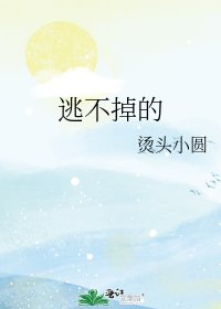 《逃不掉的》