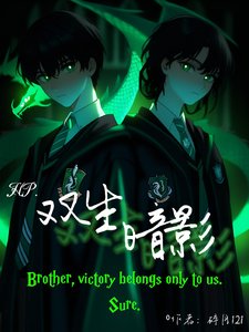 《(HP同人)HP:双生暗影》