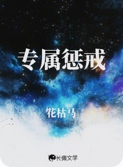 《专属惩戒》