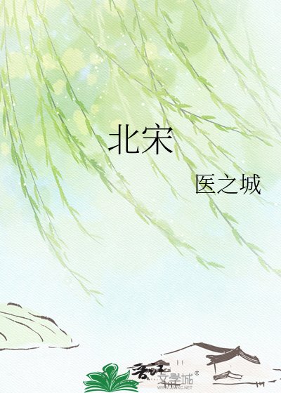 《北宋》