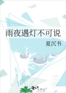 《雨夜遇灯不可说》