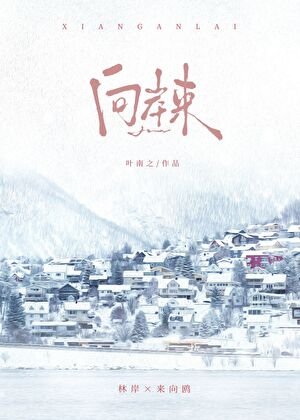 《向岸来》