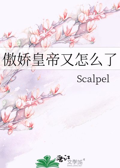 《傲娇皇帝又怎么了》