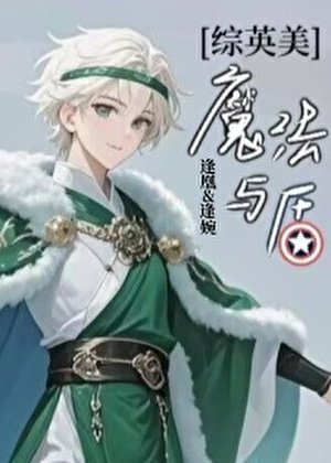 [综英美]魔法与盾