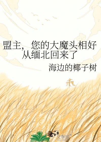 《盟主,您的大魔头相好从缅北回来了》