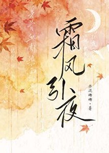 《霜风引夜》