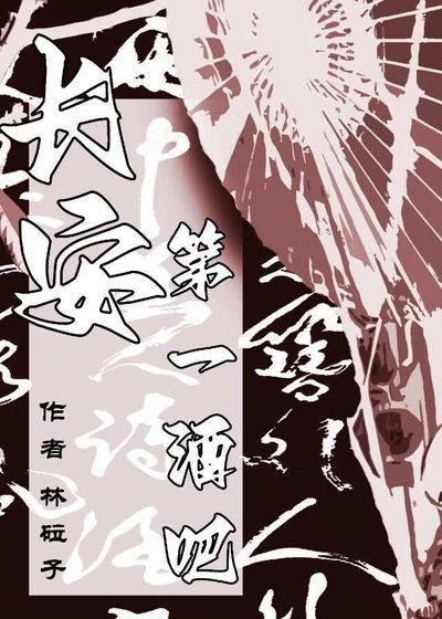 《长安第一酒吧(经营)》