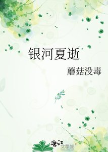 《银河夏逝》