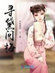 （红楼同人）寻黛问梅