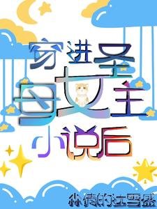 《穿进圣母女主小说后》