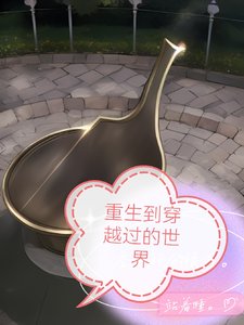 《重生到穿越过的世界》