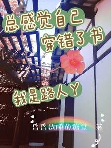 《总感觉自己穿错了书:我是路人丫》
