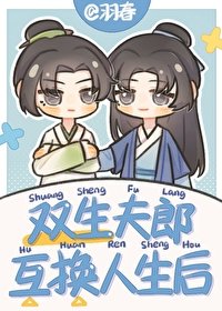 《双生夫郎互换人生后》