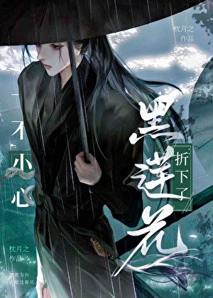 一不小心折下了黑莲花