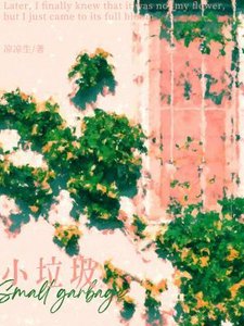 《小垃圾》