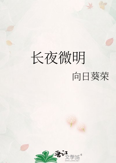 长夜微明