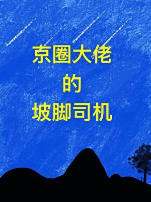 《京圈大佬的跛脚司机》