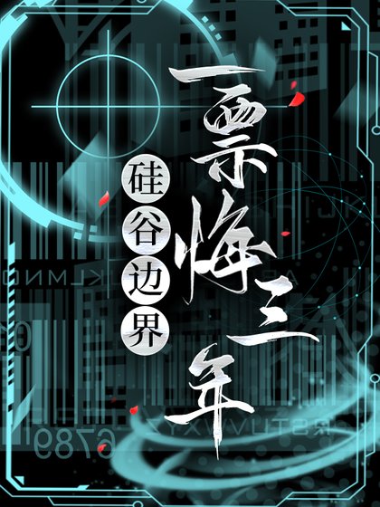 硅谷边界：一票悔三年