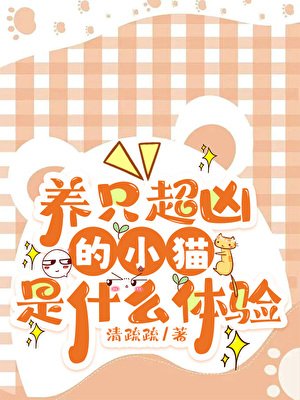 养只超凶的小猫是什么体验