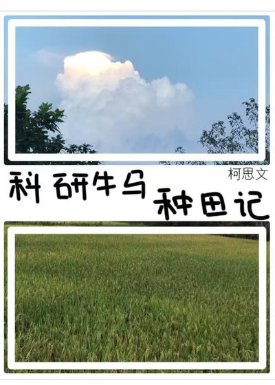 《科研牛马种田记》