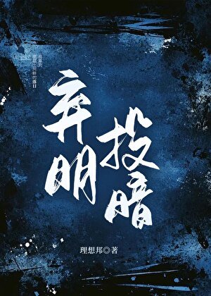 《弃明投暗》