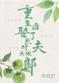 重生后娶了死对头做夫郎