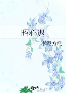 《昭心迟》