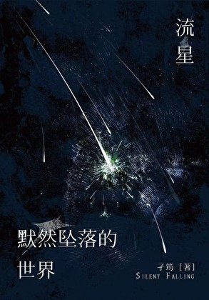 流星默然坠落的世界