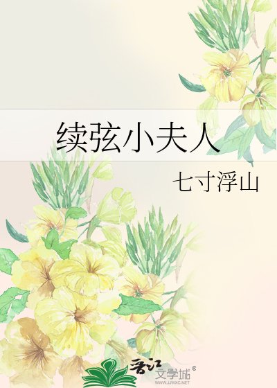 续弦小夫人