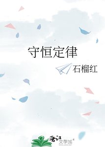 《守恒定律》