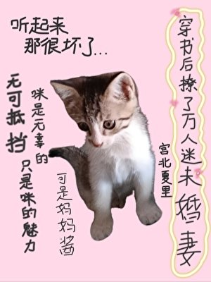 《穿书后撩了万人迷未婚妻》