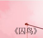 《囚鸟》
